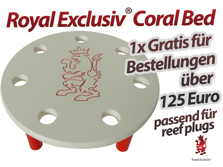 Royal Exclusiv SOMMER 2023 GRATIS KORALLEN Sofa gratis